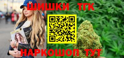 индика Краснознаменск
