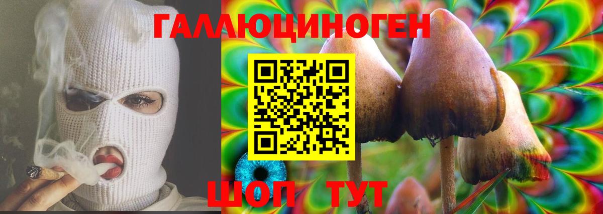 Псилоцибиновые грибы Psilocybe  Вход с VPN  Шатура  Псилоцибиновые грибы ЛСД 